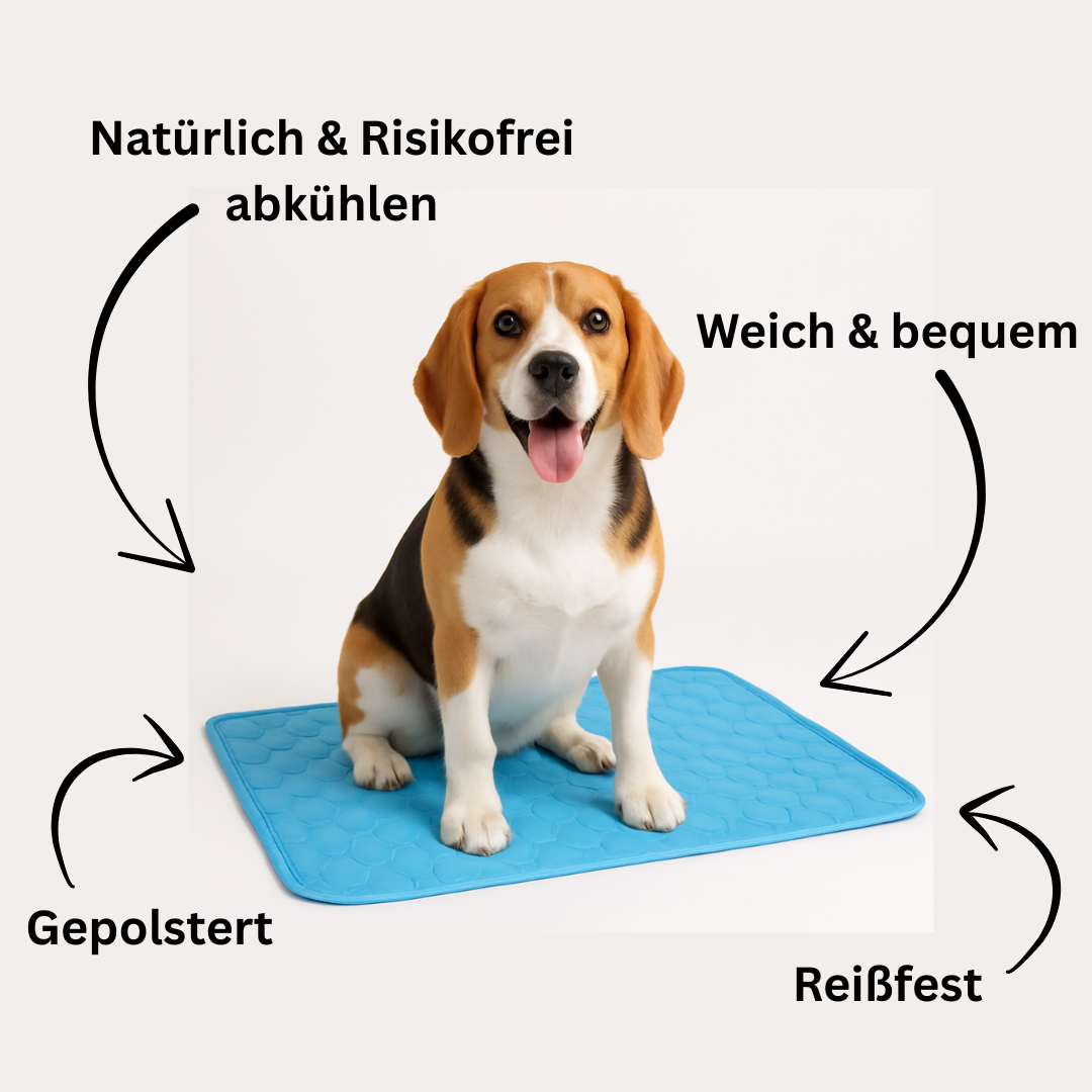 🧊 Premium Hundekühlmatte